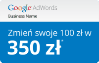 Promocja Google Adwords Nubsoft